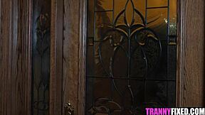 translicious babe annabelle lane surprise pounded by gabriel dalessandro