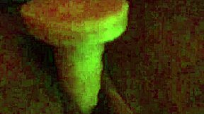 Pretty BBW Gizelle Lane's pussy play turns nasty deep