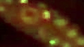 Pretty BBW Gizelle Lane's pussy play turns nasty deep