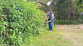 Mega-Endowed Brazilian Bear Jerks Thick Cock Till Cum on Farm