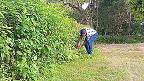 Mega-Endowed Brazilian Bear Jerks Thick Cock Till Cum on Farm