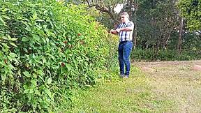 Mega-Endowed Brazilian Bear Jerks Thick Cock Till Cum on Farm