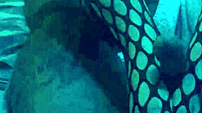 Nylons Hug Legs in Sexy Slow Footjob Tease