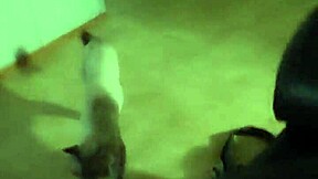 a cheating bbw bride begs for stranger cum in her fat pussy