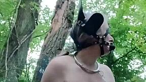 you ready to see french slave ponygirl bound and fucked outdoors like a whore??