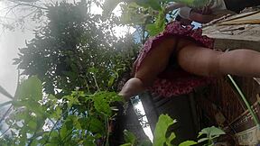 lazy brother-in-law films busty latina wife's upskirt panties while pruning tree