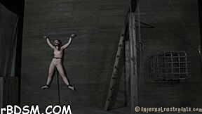 i can't believe the prod shocks my bound tits and shaved pussy so rough