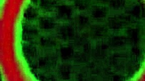 hey check out this dreamy blonde cherie deville with her big tits and wet pussy ready for fun