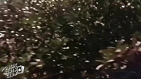 amsterdam bushes turn into hardcore public whore club with wild dancing sluts fucked hard