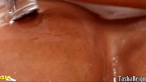 Big-Titted Blondes Brooklyn Chase Lick Clits and Pussies in Slick Lesbian Action