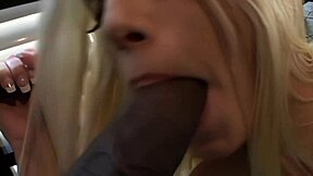 Jessica Jammer's puffy pussy teases but her gaping asshole takes rough dicking!