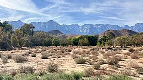 imagine blonde babe's shaved pussy taking monster cock after downhill thrill