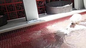 fucking my hot latina cousin bareback poolside big ass bent over doggystyle blonde blue eyes slut