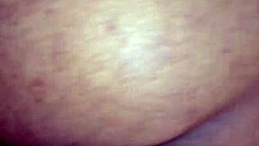 Tranny Tempts with Shemale Curves and Intense Transsexual Action