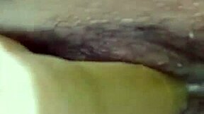 dana barzagli toys her latina ass craving more dildo action