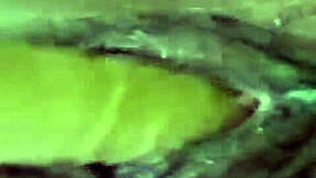 dana barzagli toys her latina ass craving more dildo action