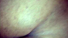 Tranny Tempts with Shemale Curves and Intense Transsexual Action