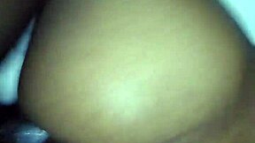 Tranny Tempts with Shemale Curves and Intense Transsexual Action