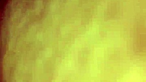 why settle for indoor when her hairy pussy loves car hood pounding?