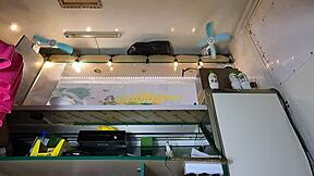 In my pink skirt with no panties, I flash pussy to hidden cam