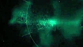 curvy golden babes savana style taylor may share sucking big pov pecker