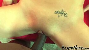 interracial pov brunette amateur deepthroats big black monster cock roughly
