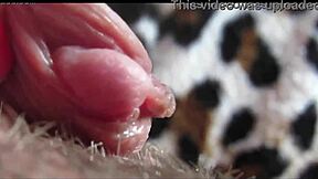clit swells huge in this orgasm closeup wow 💦🔥