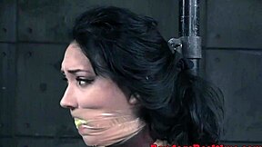 Master, wanna watch him dildo fuck this beauty from behind?