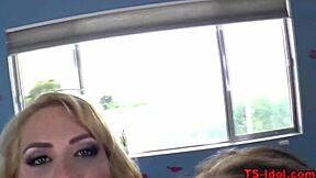 hooters shemale in lingerie gets hardcore banged