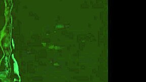 vintage hairy pussy threesomes tease retro group banging wonders