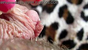 i rub my huge throbbing clit till explosive orgasm hits