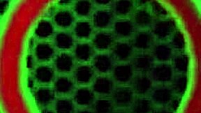 shane diesel unloads facial on sara jay milf. they swap sticky cum mess