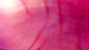 he resisted but she insisted on threesome fun inside