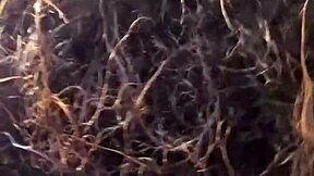 i slobber all over this throbbing cock hungrily