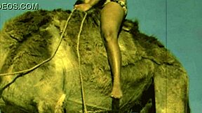 Vintage Women Bent Over For Wild Beaver Doggystyle Action