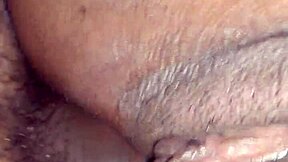 dare to see casal pimenta's intense anal assfucking session?