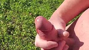 Branlette Explodes in Sunny Garden Under Natural Light Rays