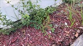 Hot Step Mom Brianna Beach Jerks Your Cock POV Momcomesfirst