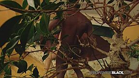 Michelle's fat ass gaped by big black cock in outdoor threesome