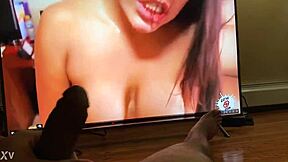 i'm cumming hard watching my fave black monster cock vid