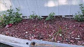 Hot Step Mom Brianna Beach Jerks Your Cock POV Momcomesfirst