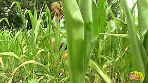 hey babe wanna watch us lick pussies outdoors with dildos?