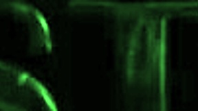 Who's ready for cute chubby babe's deep ass-to-mouth pounding?