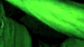 What happens when amateur lovers film their swallow session again?