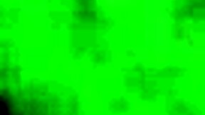 What happens when amateur lovers film their swallow session again?