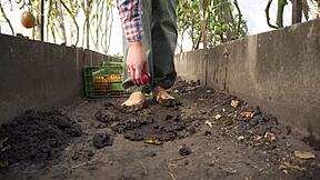 Squashing Juicy Tomatoes Barefoot on Dirty Ranch for Foot Fetish ASMR