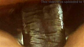 Dig that big ass bbw shaking