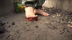 Squashing Juicy Tomatoes Barefoot on Dirty Ranch for Foot Fetish ASMR