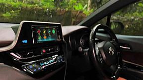 damn babe lost in forest sucks stranger dick to escape