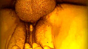 savoring cock thrusts pussy licks ass worship